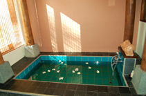 Beach Villa