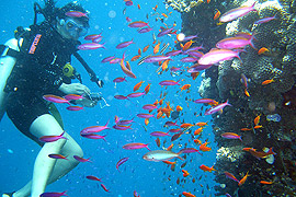 Scuba diving