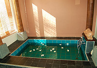 Beach Villa